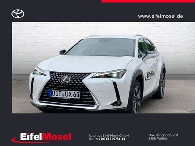 gebraucht Lexus UX UX / Vorführfahrzeug / Wittlich Toyota | Hyundai- 250h Style Edition /ACC/FLA/ParkAss./SHZ/LM