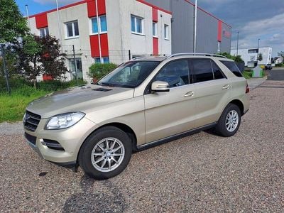 Mercedes ML250