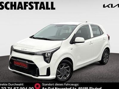 Gebraucht Kia Picanto Vision 63 PS (46 kW) 2024 Weiss (clear white) Kleinwagen