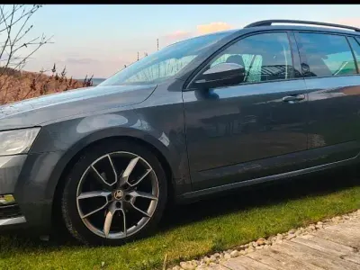 Gebraucht Skoda Octavia 150 PS (110 kW) 2019 Grau Kombi