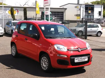Occasion Fiat Panda City Life 69 ch (50 kW) 2019 Citadine