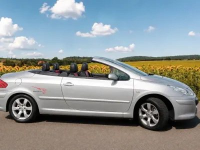 Gebraucht Peugeot 307 CC 136 PS (100 kW) 2006 Grau Cabrio