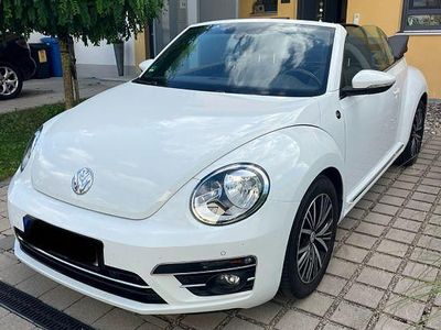 VW Beetle