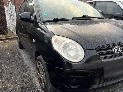 Usata Kia Picanto 65 CV (47 kW) 2008 Nero Utilitaria