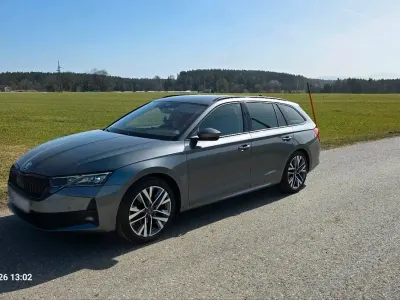 Gebraucht Skoda Octavia 150 PS (110 kW) 2024 Grau Kombi