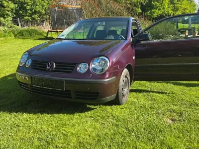 Gebraucht VW Polo 75 PS (55 kW) 2003 Violet Kleinwagen