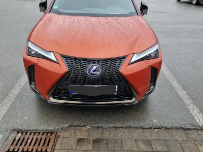 Brugt Lexus UX 250h E-FOUR F-Sport 183 HK (134 kW) 2021 Orange SUV