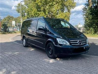 Mercedes Viano