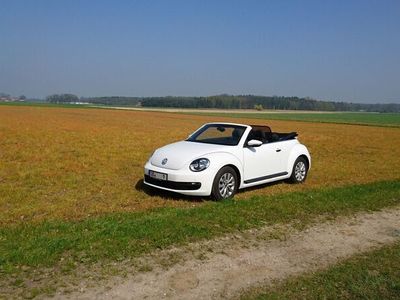 gebraucht VW Beetle 2.0 TDi