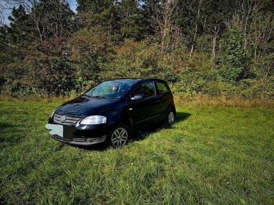 VW Fox