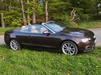 Gebraucht Audi A5 Cabriolet Sport 170 PS (125 kW) 2014 Braun Cabrio