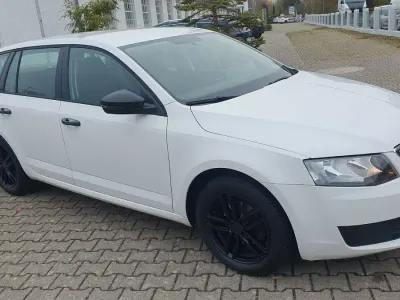 Gebraucht Skoda Octavia Active 90 PS (66 kW) 2015 Weiß Kombi