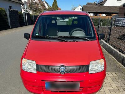 Usata Fiat Panda 54 CV (39 kW) 2005 Rosso Utilitaria