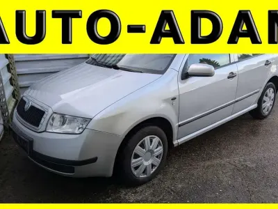 Usata Skoda Fabia