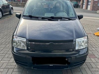 gebraucht Fiat Panda 1.1