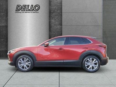 Gebraucht Mazda CX-30 Selection 150 PS (110 kW) 2021 Andere SUV