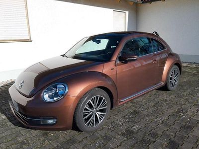 VW Beetle