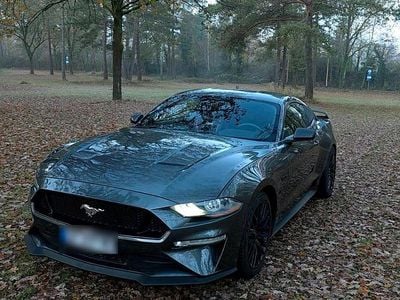 Grau Gebraucht 2019 Ford Mustang GT Performance Edition Coupé | 29.999 € (Superpreis)