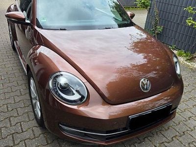 Usata VW Beetle Allstar 150 CV (110 kW) 2016 Marrone Utilitaria