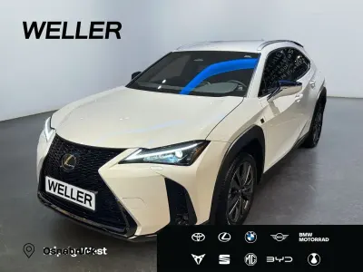 Gebraucht Lexus UX 300h