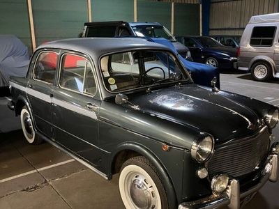 gebraucht Fiat 1100 1200 Granluce