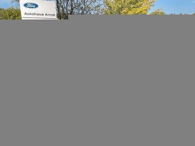 Gebraucht Ford Fiesta Titanium 125 PS (91 kW) 2023 Agate black metallic Kleinwagen