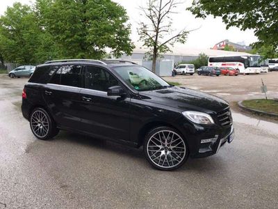 gebraucht Mercedes ML350 Vollauslastung