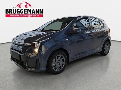 Neu Kia Picanto Vision 68 PS (50 kW) 2025 Blau Kleinwagen