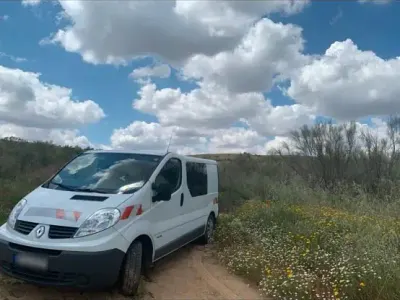 Gebraucht Renault Trafic 115 PS (84 kW) 2014 Weiß Van / Kleinbus