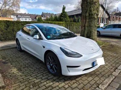 Brugt Tesla Model 3