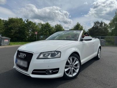 gebraucht Audi A3 Cabriolet 2.0 TDI S tronic Ambition Ambition