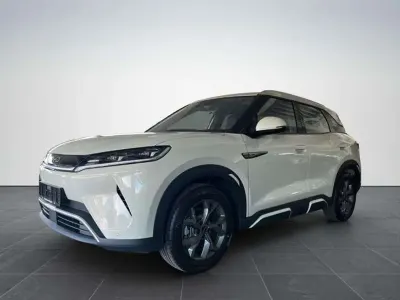 Brugt BYD Atto 2