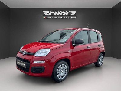 Neu Fiat Panda 69 PS (50 kW) 2025 Rot Kleinwagen