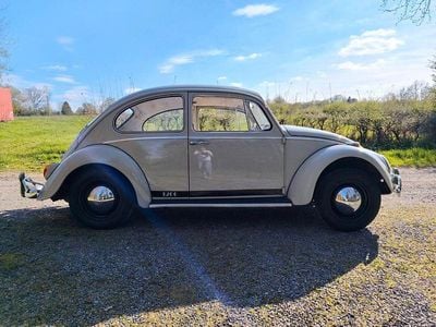 Gebraucht VW Käfer 34 PS (25 kW) 1965 Grau Limousine