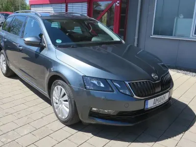 Gebraucht Skoda Octavia Ambition 150 PS (110 kW) 2019 Grau Kombi
