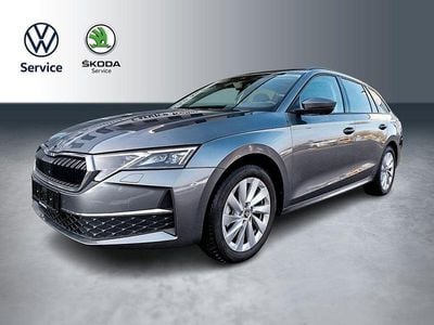 Usata Skoda Octavia Selection 150 CV (110 kW) 2025 Grigio Station wagon