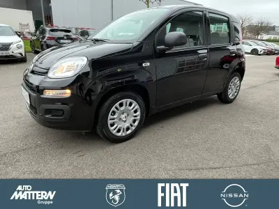 Gebraucht Fiat Panda Icon 69 PS (50 kW) 2025 Schwarz Kleinwagen