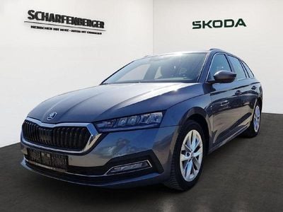 Gebraucht Skoda Octavia Style 110 PS (80 kW) 2024 Grau Kombi