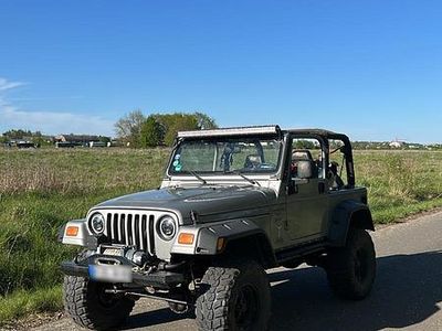 Second-hand Jeep Wrangler 180 CP (132 kW) 2001 Gri SUV