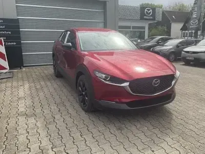 Gebraucht Mazda CX-30 Sky 140 PS (102 kW) 2026 Rot SUV