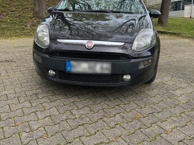 gebraucht Fiat Punto Evo 