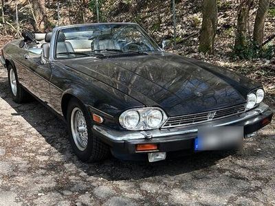 gebraucht Jaguar XJS 