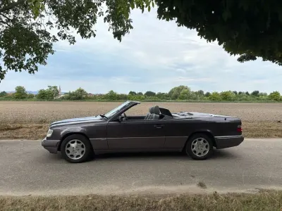 Brugt Mercedes E220 150 HK (110 kW) 1994 Brun Cabriolet