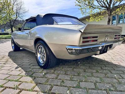 gebraucht Pontiac Firebird *American Muscle*455/Cabrio*7.5