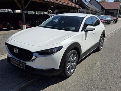 Neu Mazda CX-30 Center-Line 140 PS (102 kW) 2025 SUV