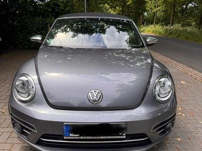 VW Beetle