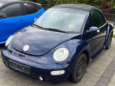 VW Beetle