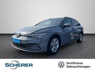 Gebraucht VW Golf VIII Life 110 PS (80 kW) 2024 Mondsteingrau Kombi