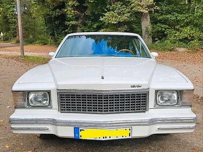 Gebraucht Chevrolet Monte Carlo 160 PS (117 kW) 1979 Weiß Coupé