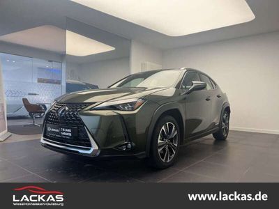 gebraucht Lexus UX 250h LUXURY*MATRIX-LED*360°*PDC*NAVI*